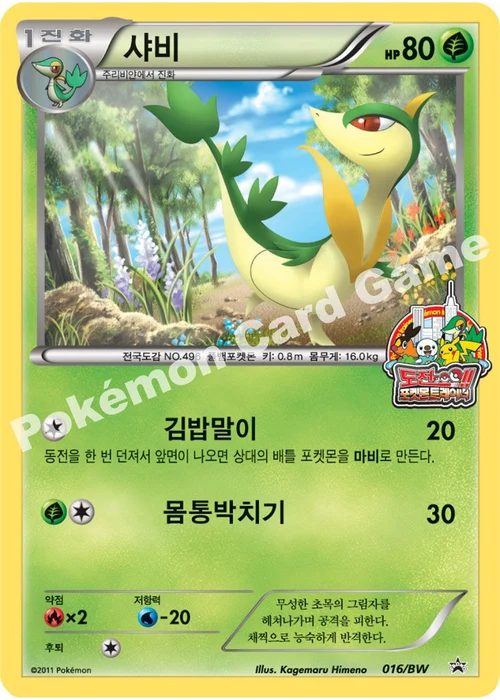 샤비