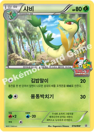 샤비
