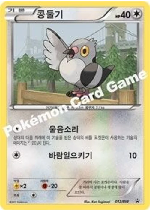 콩둘기