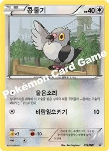 콩둘기
