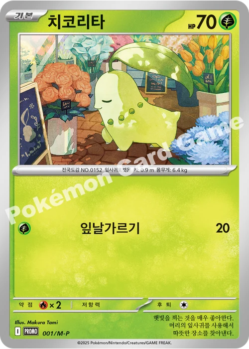 치코리타