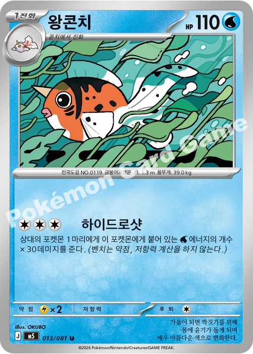 왕콘치