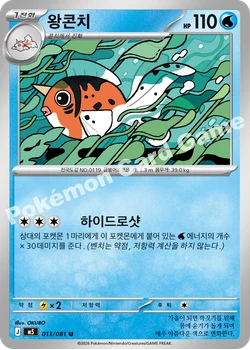왕콘치