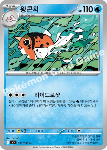 왕콘치