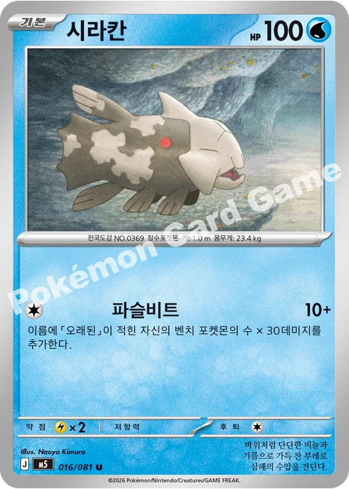 시라칸