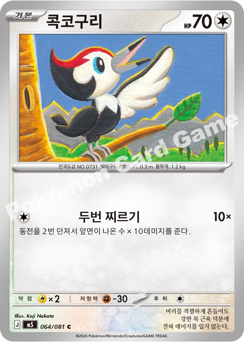 콕코구리