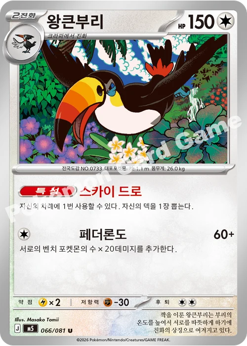 왕큰부리