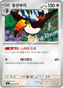 왕큰부리