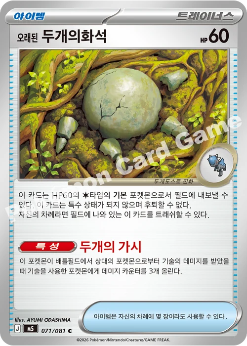 오래된 두개의화석