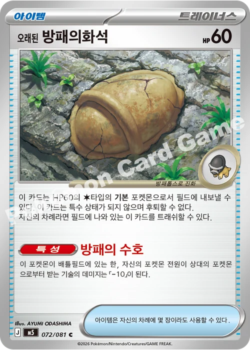 오래된 방패의화석
