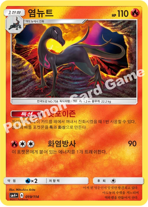 염뉴트