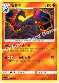 염뉴트