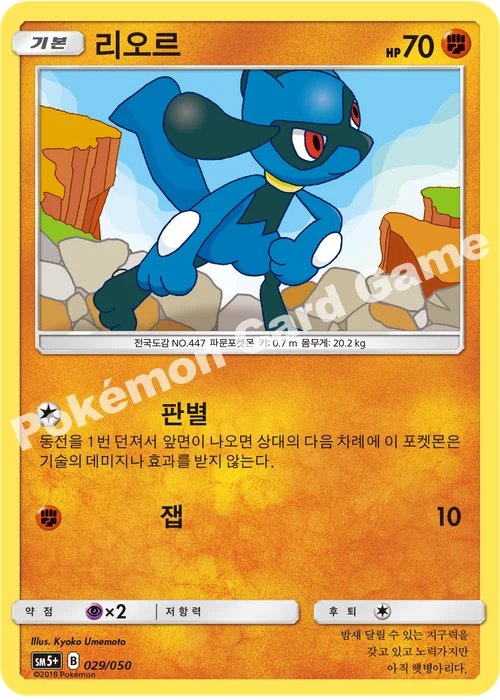 리오르