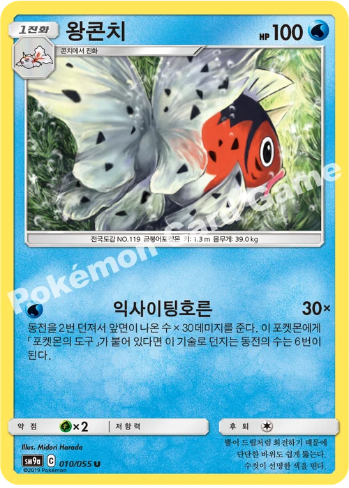 왕콘치