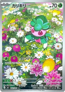 カリキリ