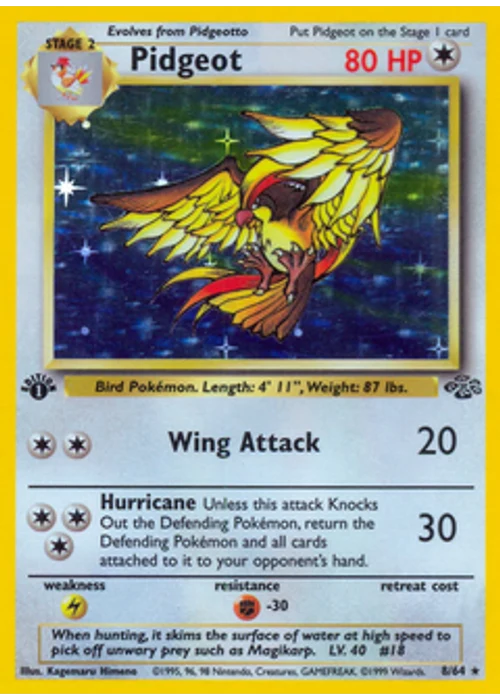 Pidgeot