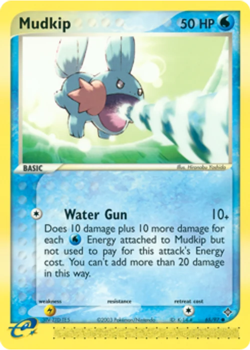 Mudkip