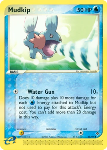 Mudkip