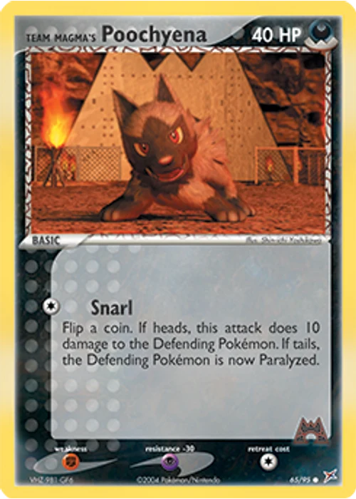 Team Magma's Poochyena