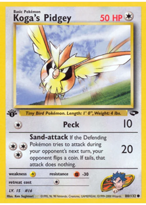 Koga's Pidgey