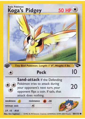 Koga's Pidgey