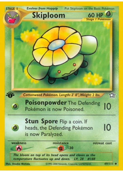 Skiploom