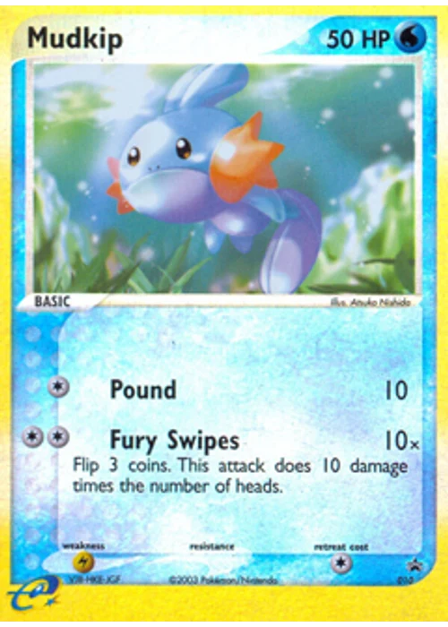 Mudkip