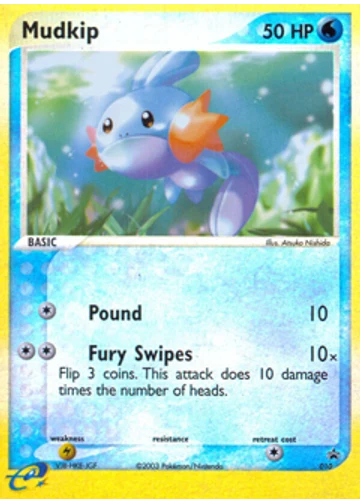 Mudkip