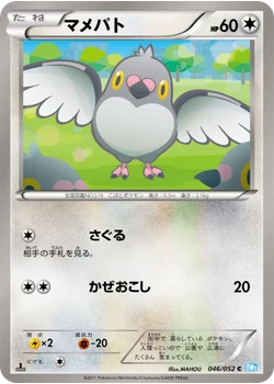 マメパト