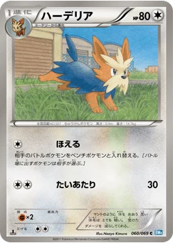 ハーデリア