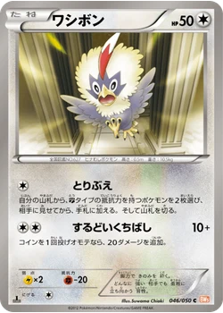 ワシボン