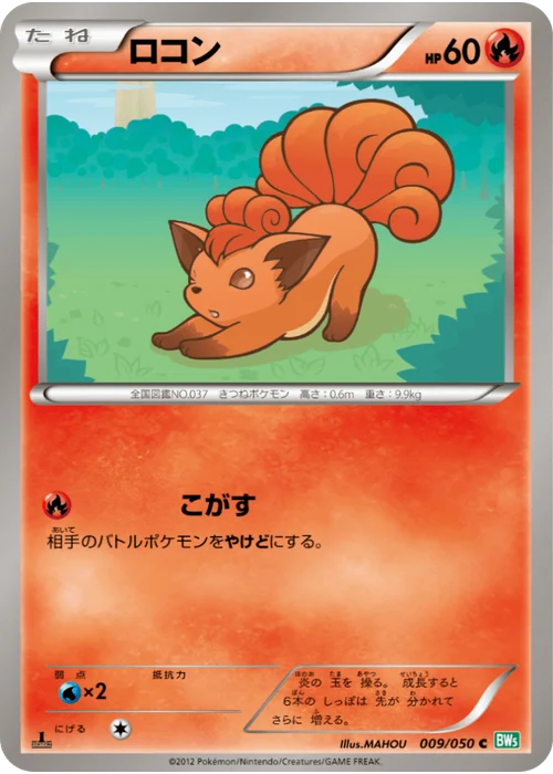 ロコン