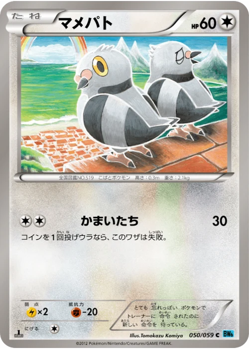 マメパト