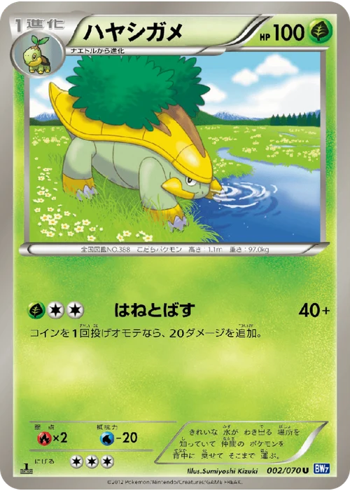 ハヤシガメ