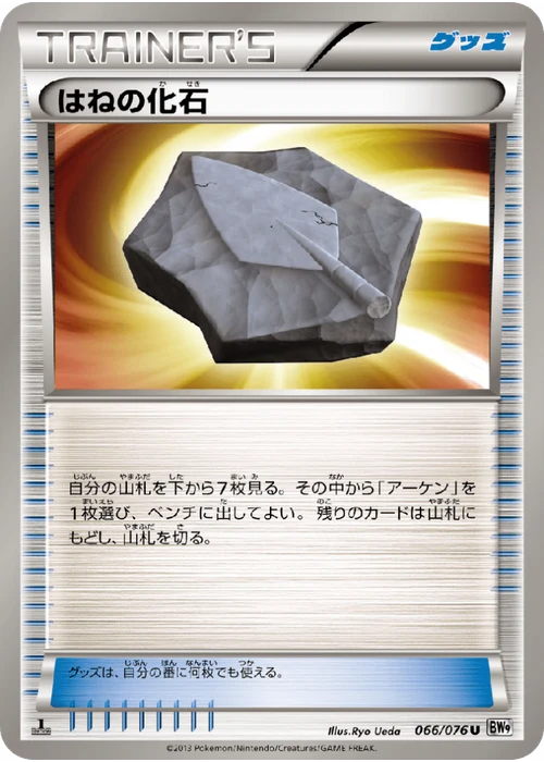 はねの化石