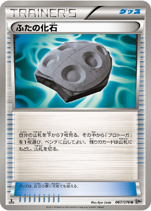 ふたの化石