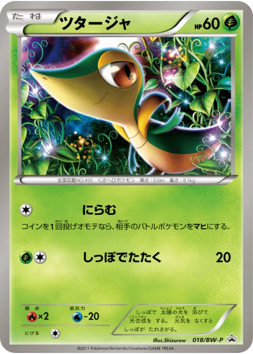 ツタージャ