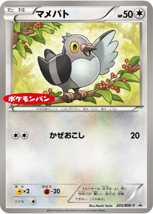 マメパト
