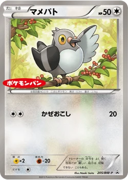 マメパト