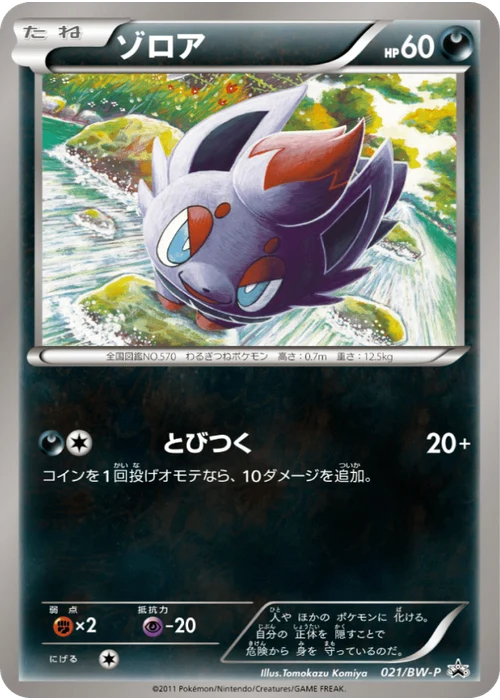 ゾロア