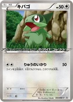 キバゴ