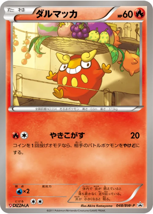 ダルマッカ