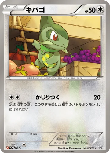 キバゴ