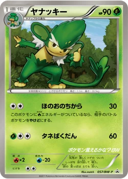 ヤナッキー