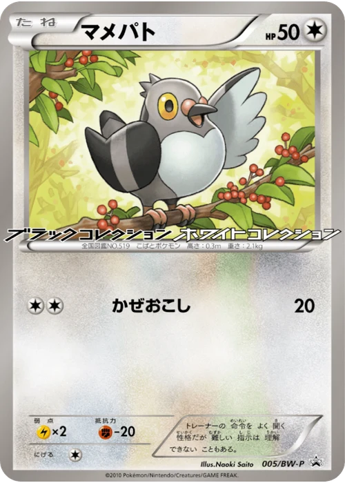 マメパト