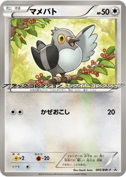 マメパト