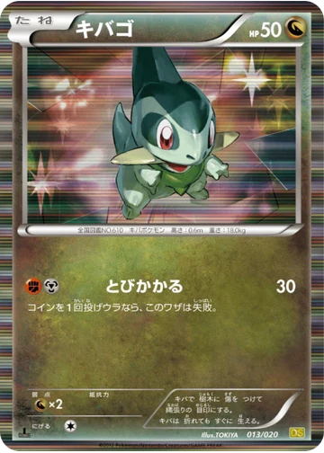 キバゴ