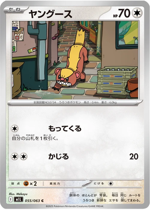 ヤングース
