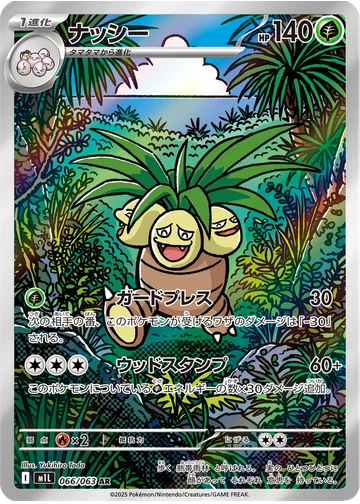 ナッシー