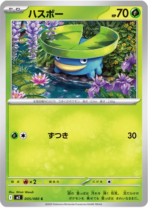 ハスボー